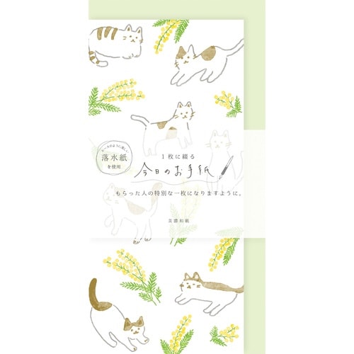 今日のお手紙 ねことミモザ×5