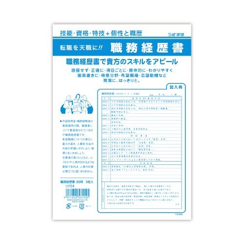 職務経歴書×10