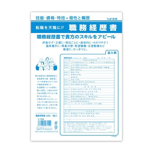 職務経歴書 A4×10