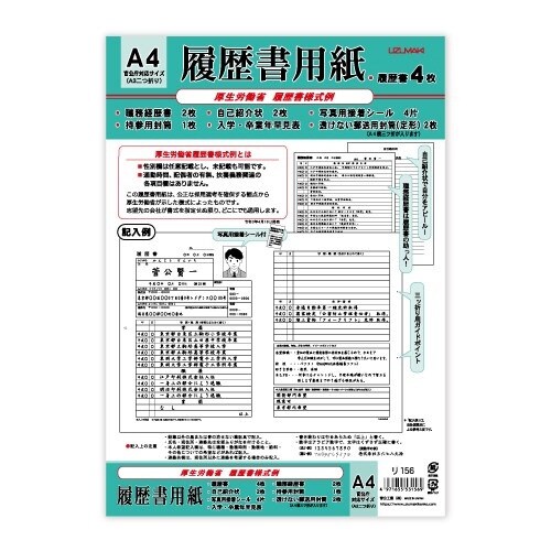 履歴書用紙 A4 厚生労働省様式例×10