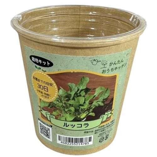 かんたんおうちキッチン ルッコラ ルッコラ