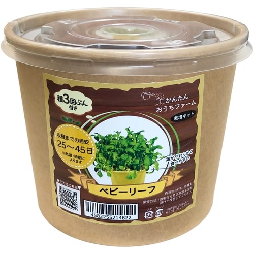 かんたんおうちファーム ベビーリーフ
