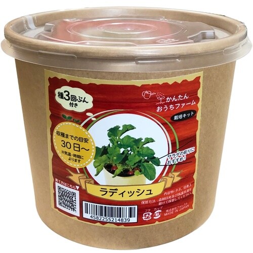 かんたんおうちファーム ラディッシュ