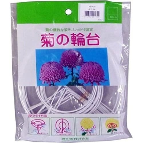 菊の輪台 白 10個入 15cm