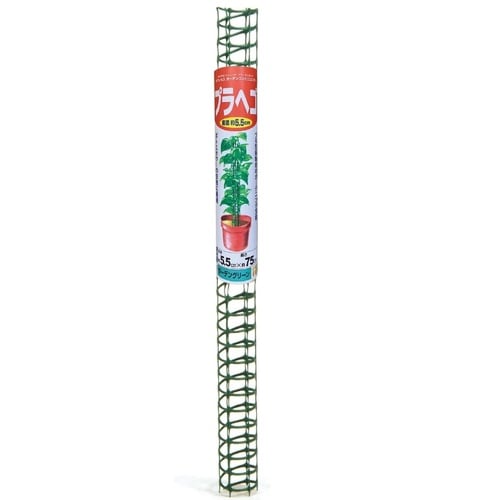 プラヘゴ 75cm