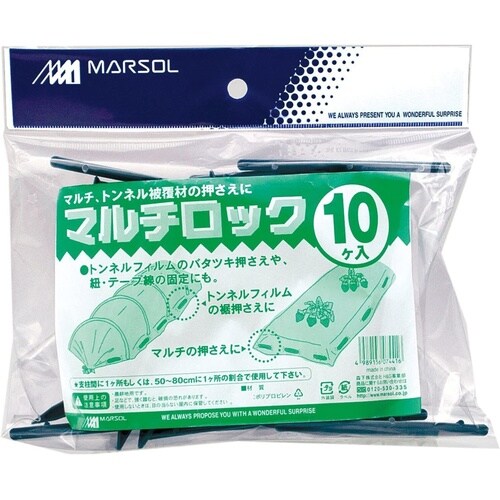 マルチロック 10P