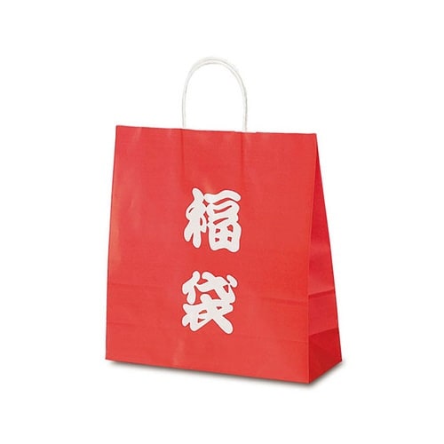 1695 自動紐手提袋 T−6 福袋(文字)