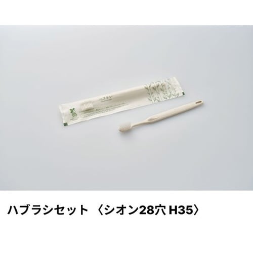 ハブラシシオン穴3gシュリンクエコナチュラルハ