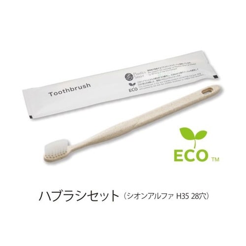 ハブラシシオン穴5gシュリンクエコグリーンブラ