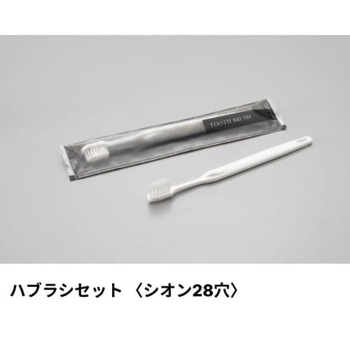 ハブラシセットシオン28穴3g刻印ブラックエラ