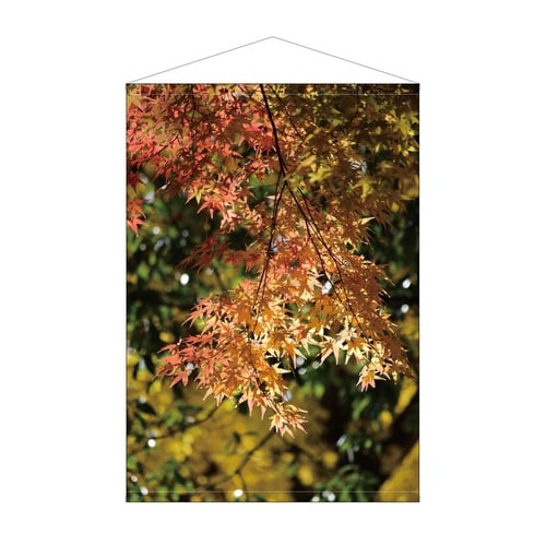 ビッグタペストリー42104紅葉写真防炎