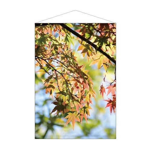 ビッグタペストリー42105紅葉写真防炎