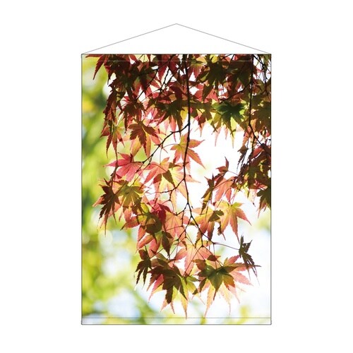 ビッグタペストリー42106紅葉写真防炎