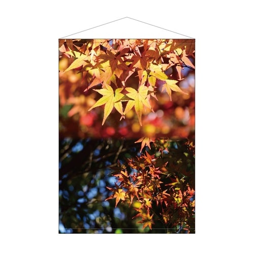 ビッグタペストリー42108紅葉写真防炎