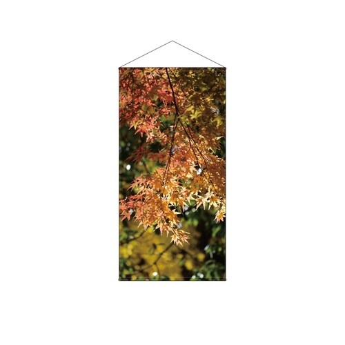 防炎タペストリー44548紅葉写真のみ