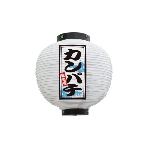 フルカラー提灯46550カンパチ八寸丸白