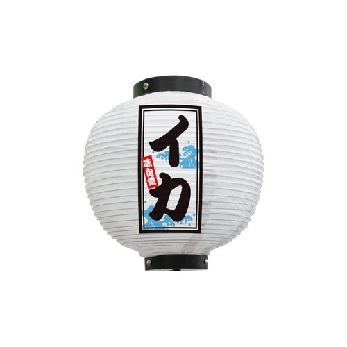 フルカラー提灯46555イカ八寸丸白