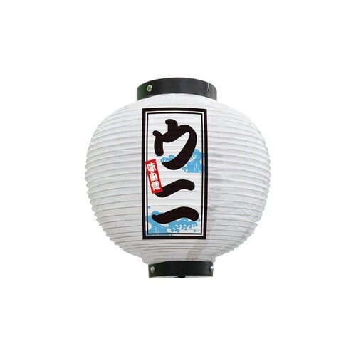 フルカラー提灯46561ウニ八寸丸白