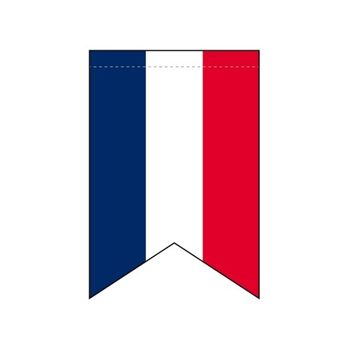 変形タペ69409フランス国旗柄