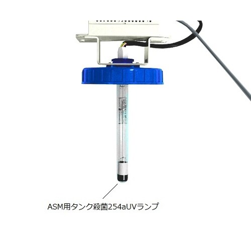 ZLXUVLPL1 ASM用UVランプ