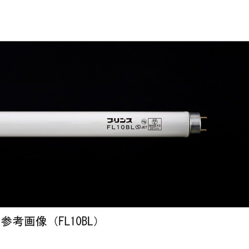 BLランプ 1箱(10本入) FL6BL
