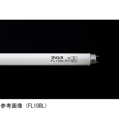 BLランプ 1箱(10本入) FL8BL