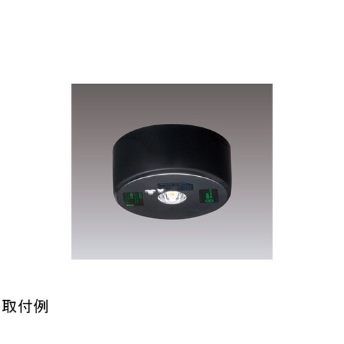 中天井用直付黒色LED非常灯専用形 LE