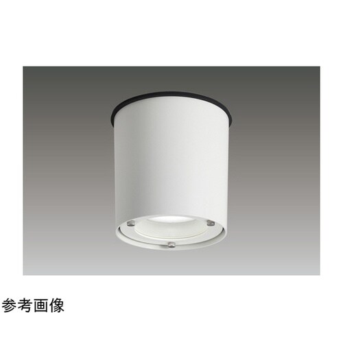 ユニット交換形DL軒下用直付CL白色 L