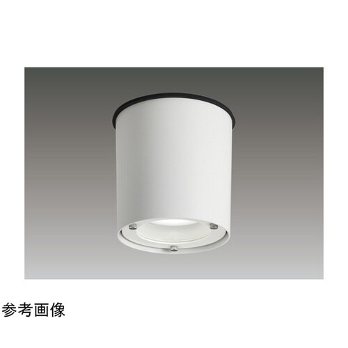 ユニット交換形DL軒下用直付CL白色 L