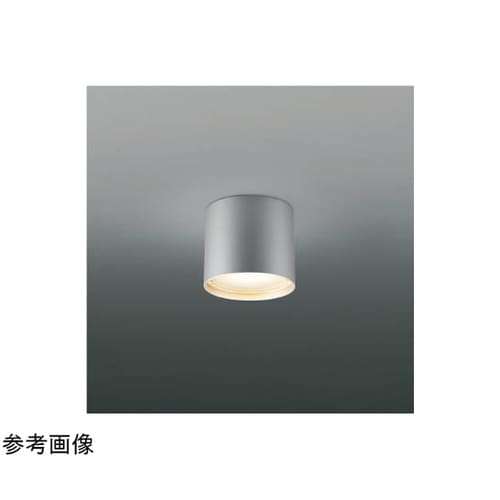 LED防雨防湿型シーリング AU5477