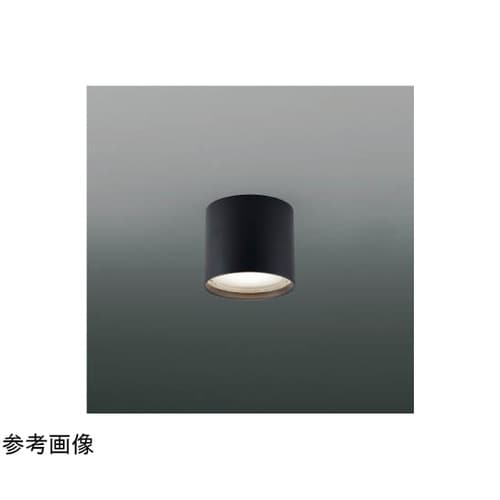 LED防雨防湿型シーリング AU5478