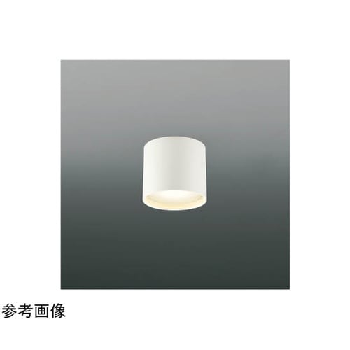 LED防雨防湿型シーリング AU5478
