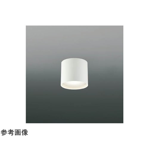 LED防雨防湿型シーリング AU5478