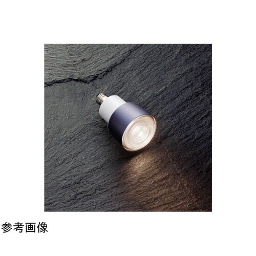 LEDランプ XE54445