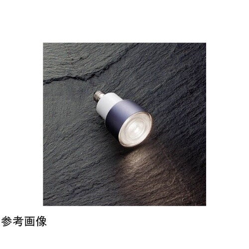 LEDランプ XE54447