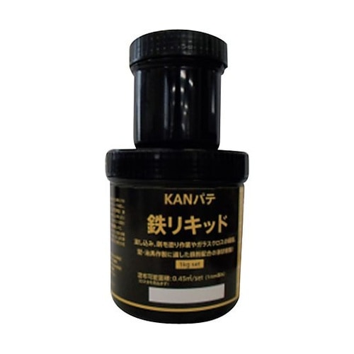鉄リキッド 1kgセット 6300020