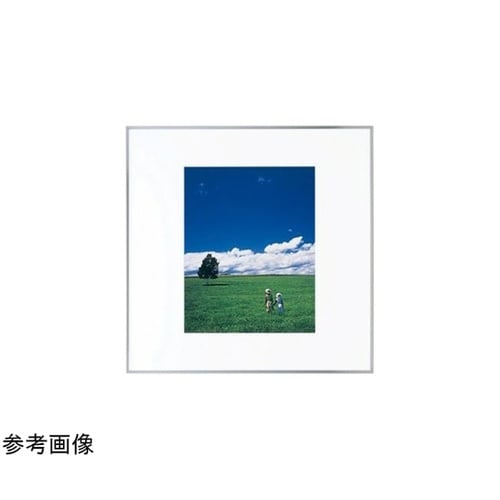 HQA201シルバー 半切