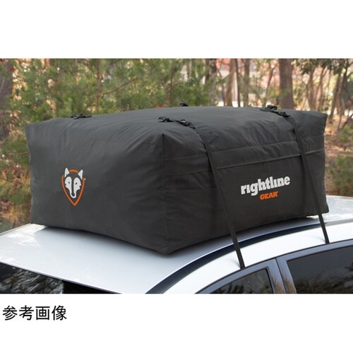 カートップキャリア 100R20