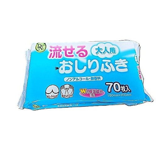 DN大人用流せるおしりふき 1ケース(2