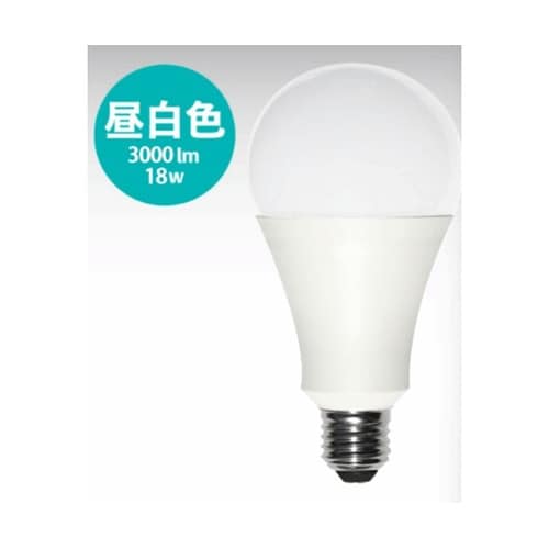 LED電球3000lm E26 FAW2
