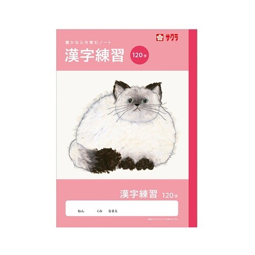 学習帳 漢字 120字 NJ54