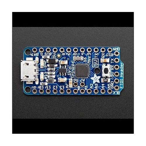 Adafruit Pro Trinket
