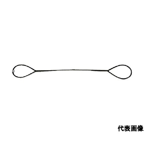 台付けワイヤー スリング径12mm 全長