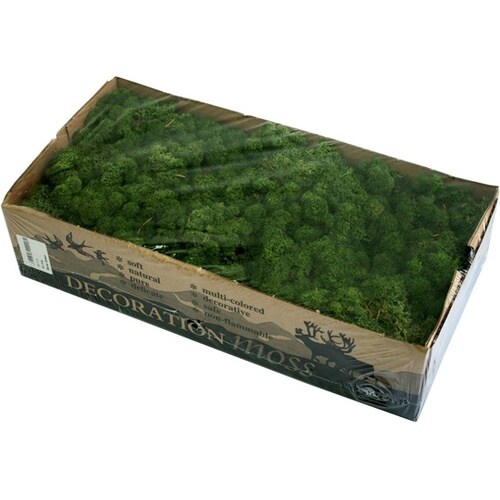 レインディアモス 9 モス 500g 1