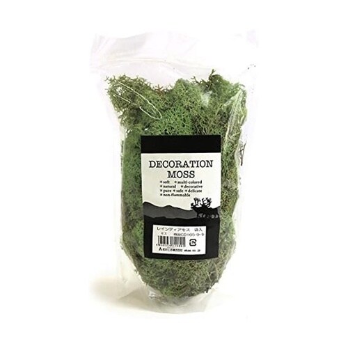 レインディアモス 9 モス 100g 1