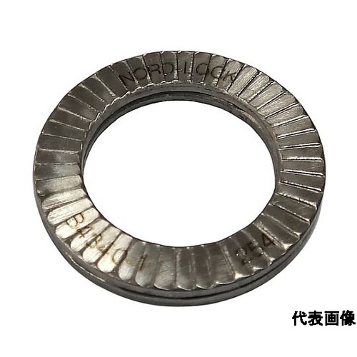 ノルトロックワッシャー 254SMO N