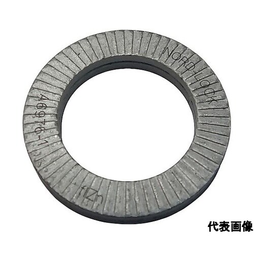 ノルトロックワッシャー 254SMO N