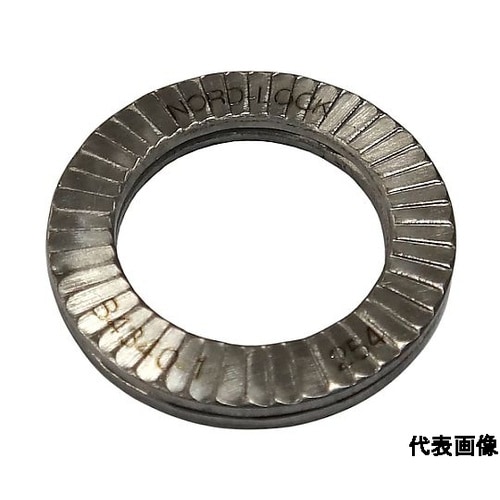 ノルトロックワッシャー 254SMO N