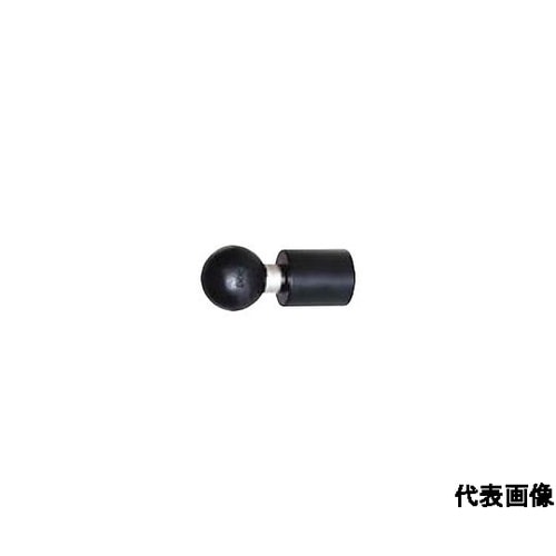 (210040345)RAMマウンティン
