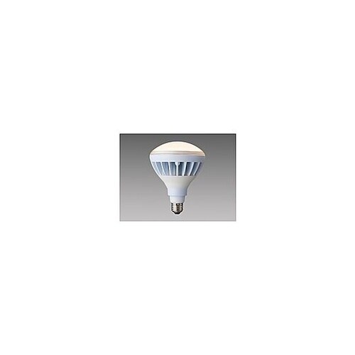 反射形E26口金LED電球 LDR100